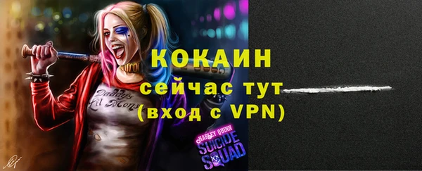 метадон Новодвинск