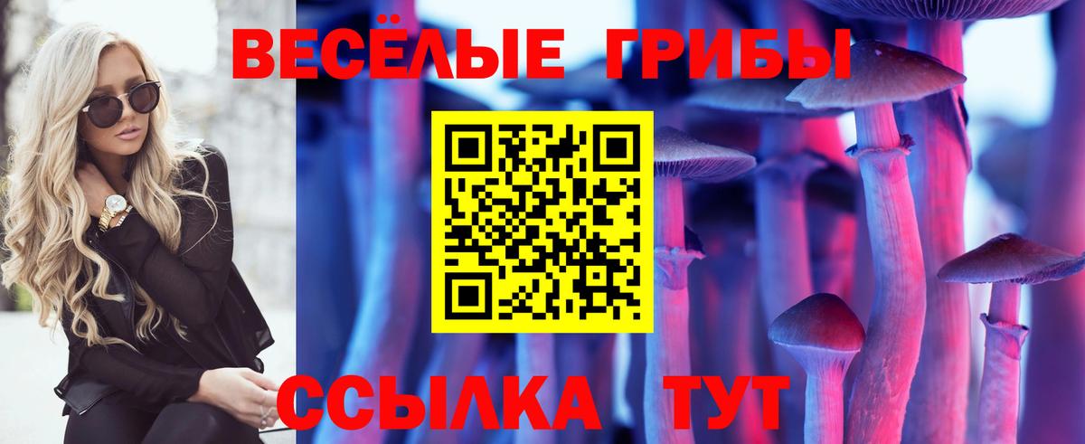 Псилоцибиновые грибы ЛСД  Вход с VPN  Тулун  где найти наркотики  Галлюциногенные грибы Cubensis 